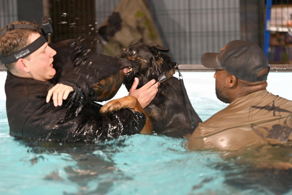 25 12 3 water dog training support our troops inc.avif