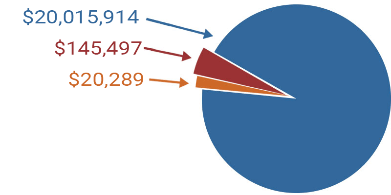2020 SupportOurTroops Financials chart snapshot