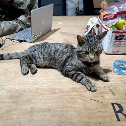 BPTA Mascot Lil’ Mac, named after our Battalion XO, who we refer to as Big Mac