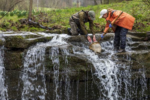 03 Army Corps of Engineers water quality Clean Water Act Ecosystem Restoration Program Support Our Troops