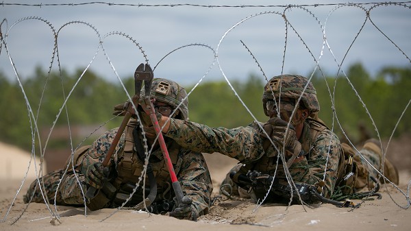 BUILDING BRIDGES, CLEARING MINEFIELDS ANOTHER DAY IN THE LIFE OF COMBAT ENGINEERS